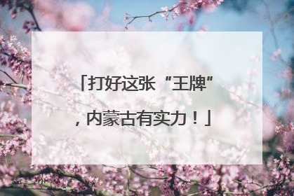 打好这张“王牌”，内蒙古有实力！
