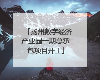 扬州数字经济产业园一期总承包项目开工