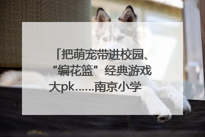 把萌宠带进校园、“编花篮”经典游戏大pk……南京小学花式“庆六一”