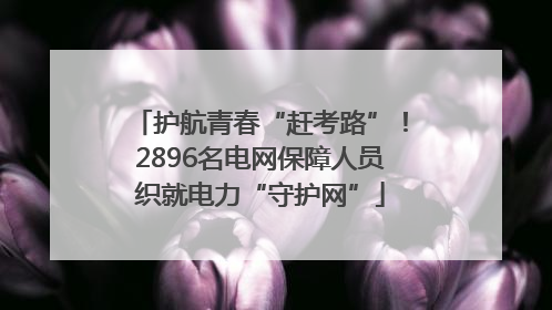 护航青春“赶考路”！2896名电网保障人员织就电力“守护网”