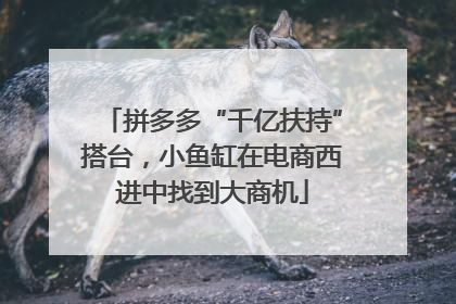 拼多多“千亿扶持”搭台，小鱼缸在电商西进中找到大商机
