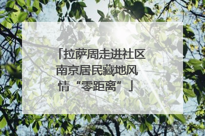 拉萨周走进社区 南京居民藏地风情“零距离”