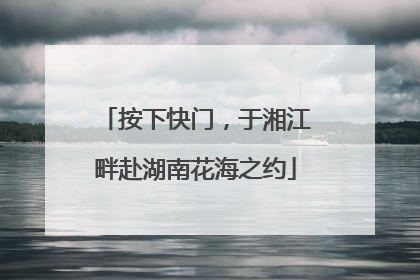 按下快门，于湘江畔赴湖南花海之约