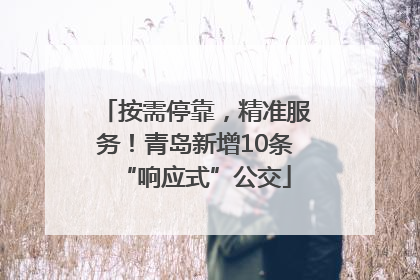 按需停靠，精准服务！青岛新增10条“响应式”公交