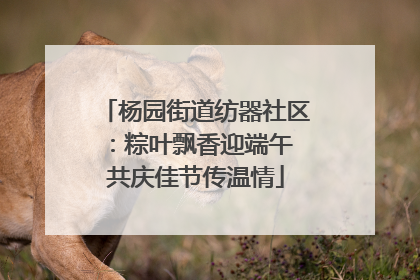 杨园街道纺器社区：粽叶飘香迎端午 共庆佳节传温情