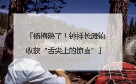 杨梅熟了！钟祥长滩镇收获“舌尖上的惊喜”
