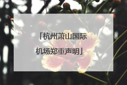 杭州萧山国际机场郑重声明