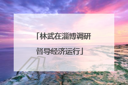 林武在淄博调研督导经济运行