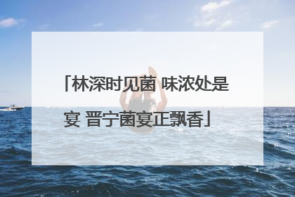 林深时见菌 味浓处是宴 晋宁菌宴正飘香