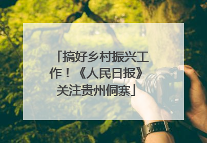 搞好乡村振兴工作！《人民日报》关注贵州侗寨