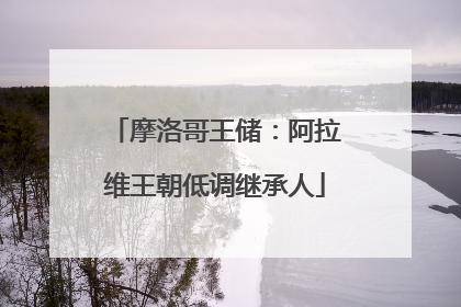 摩洛哥王储：阿拉维王朝低调继承人