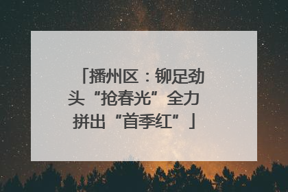 播州区：铆足劲头“抢春光”全力拼出“首季红”