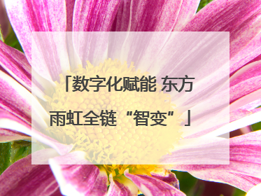 数字化赋能 东方雨虹全链“智变”
