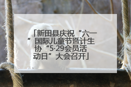 新田县庆祝“六一”国际儿童节暨计生协“5·29会员活动日”大会召开