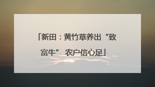 新田：黄竹草养出“致富牛” 农户信心足