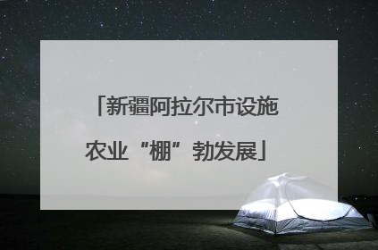 新疆阿拉尔市设施农业“棚”勃发展