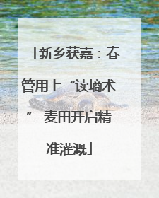 新乡获嘉：春管用上“读墒术” 麦田开启精准灌溉