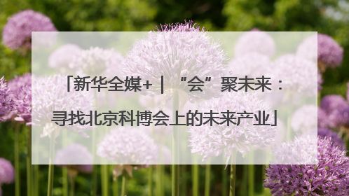 新华全媒+｜“会”聚未来：寻找北京科博会上的未来产业