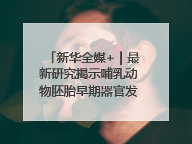 新华全媒+｜最新研究揭示哺乳动物胚胎早期器官发育“密码”