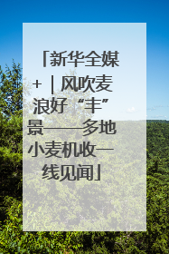 新华全媒+｜风吹麦浪好“丰”景——多地小麦机收一线见闻