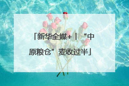 新华全媒+丨“中原粮仓”麦收过半