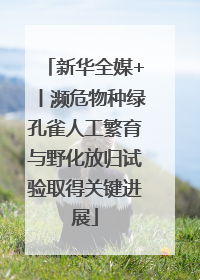 新华全媒+丨濒危物种绿孔雀人工繁育与野化放归试验取得关键进展
