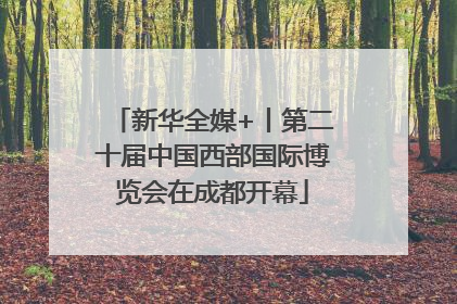 新华全媒+丨第二十届中国西部国际博览会在成都开幕