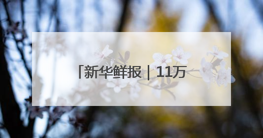 新华鲜报｜11万列！中欧班列跑出亚欧大陆“新时速”