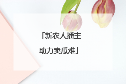 新农人播主 助力卖瓜难