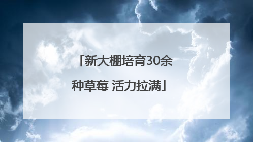 新大棚培育30余种草莓 活力拉满