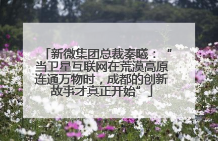 新微集团总裁秦曦：“当卫星互联网在荒漠高原连通万物时，成都的创新故事才真正开始”