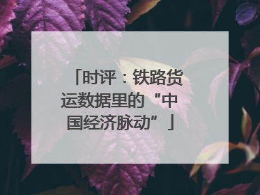 时评：铁路货运数据里的“中国经济脉动”