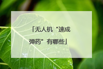 无人机“速成弹药”有哪些