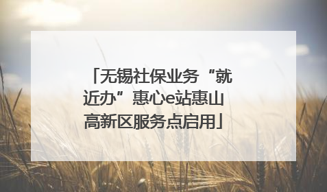 无锡社保业务“就近办”惠心e站惠山高新区服务点启用
