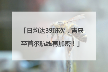 日均达39班次，青岛至首尔航线再加密！