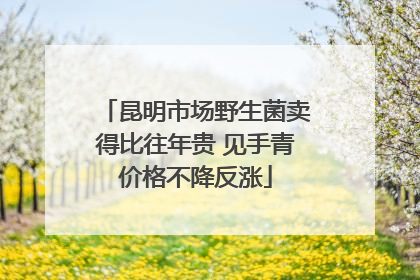 昆明市场野生菌卖得比往年贵 见手青价格不降反涨
