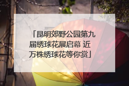昆明郊野公园第九届绣球花展启幕 近万株绣球花等你赏