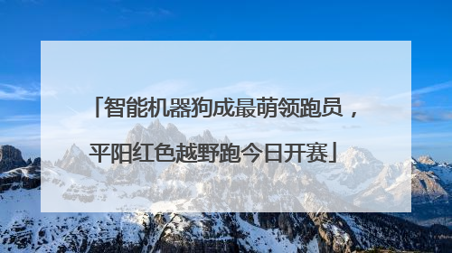 智能机器狗成最萌领跑员，平阳红色越野跑今日开赛