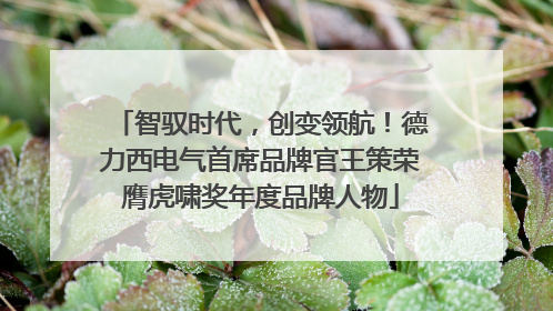 智驭时代，创变领航！德力西电气首席品牌官王策荣膺虎啸奖年度品牌人物