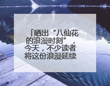 晒出“八仙花的浪漫时刻”，今天，不少读者将这份浪漫延续到家里