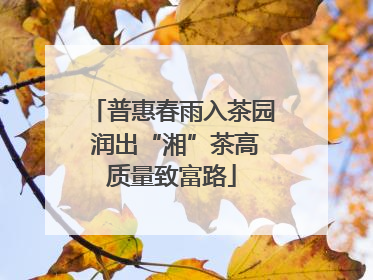 普惠春雨入茶园 润出“湘”茶高质量致富路