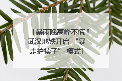 暴雨晚高峰不慌！武汉地铁开启 “暴走护犊子” 模式
