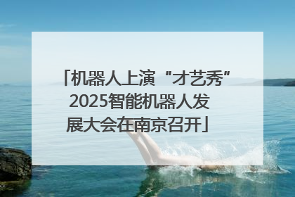 机器人上演“才艺秀” 2025智能机器人发展大会在南京召开