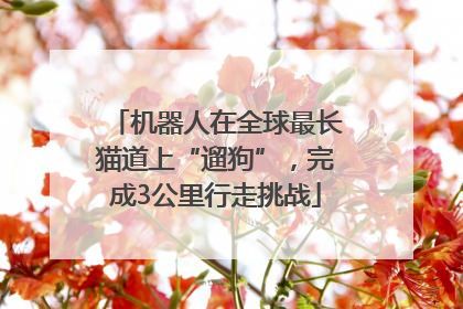 机器人在全球最长猫道上“遛狗”，完成3公里行走挑战
