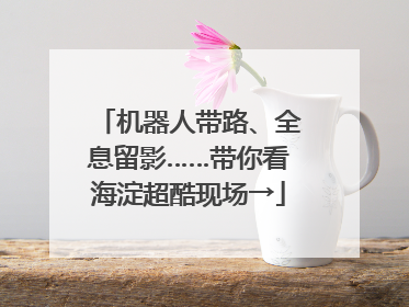 机器人带路、全息留影……带你看海淀超酷现场→
