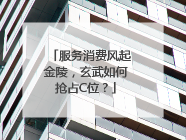 服务消费风起金陵，玄武如何抢占C位？