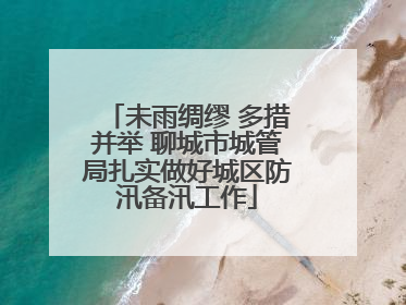 未雨绸缪 多措并举 聊城市城管局扎实做好城区防汛备汛工作
