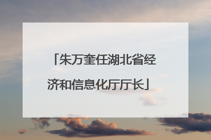 朱万奎任湖北省经济和信息化厅厅长