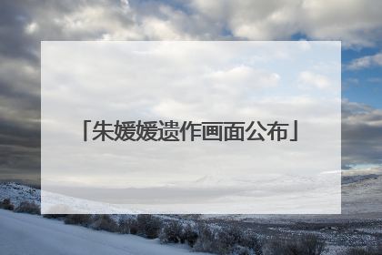 朱媛媛遗作画面公布