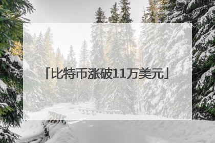 比特币涨破11万美元